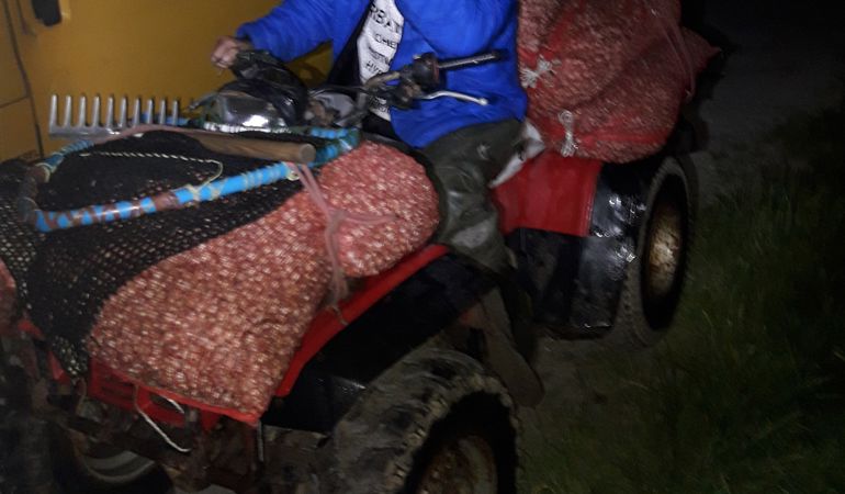 Man on a quad illegal cockling Man on a quad illegal cockling