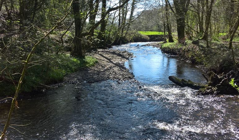 Natural section of river showing undisturbed gravel shoals Natural section of river showing undisturbed gravel shoals
